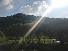 -大水川景区