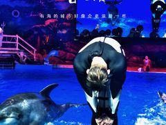 -海合安武汉极地海洋公园