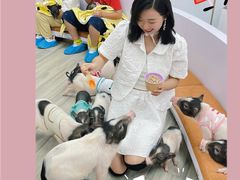 -猪盟咖啡店(玖洲道店)