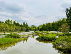 -大望京儿童游乐场