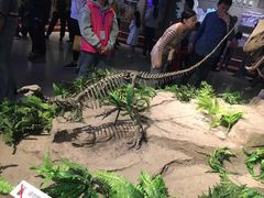 -自贡恐龙博物馆