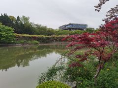 -嘉定紫藤园