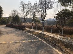 -洋湖国家湿地公园