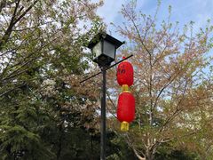 -古柏渡飞黄旅游区