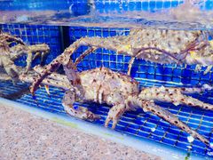 -青蓬蒸汽海鲜·深圳老字号·团建聚会(壹方城店)