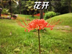 -杭州植物园