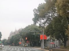 -子福慧(虹桥店)