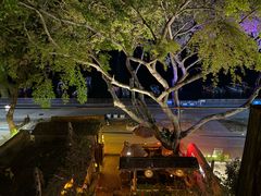 -城墙外BAR