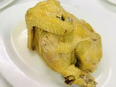 雞煲翅-新陶陶酒家