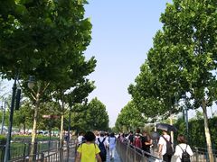 34°C的天气-上海迪士尼度假区