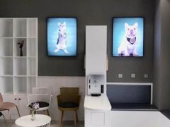 -关爱宠物医院·猫科中心·消化科(滨湖万达分院)