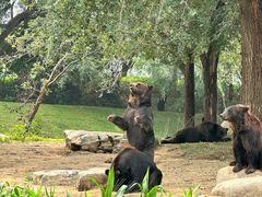 -北京野生动物园