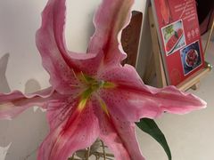 -沈师傅四季烤鸭小馆(荣盛华府店)