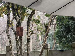 -龙井壹号·茶缘山景宴(龙井村店)