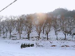 -沣峪口