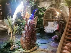 -泰谷玲抓龙筋SPA·泰式按摩(五一广场店)