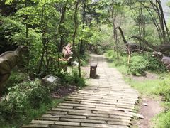 -木兰云雾山