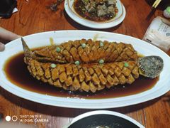 老醋松鼠鱼-醉长安(南门总店)
