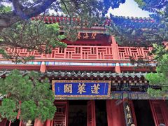 -蓬莱阁景区