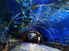 -华夏文旅海洋公园