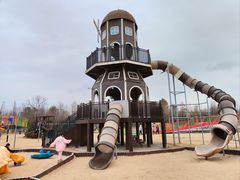 -上海长兴岛郊野公园