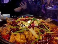 -老板恋上鱼(恒隆广场店)