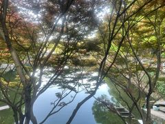 -天怡·鱼工厂(梅溪湖店)