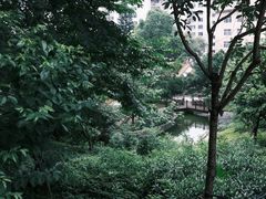 -郑和公园