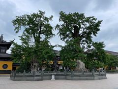 -圆通寺