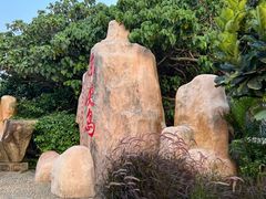 -东澳岛