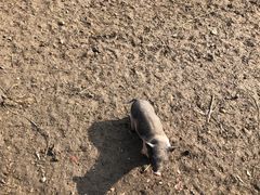 -长兴太湖图影湿地文化园