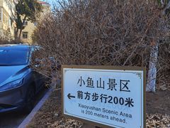 -青岛海滨风景区小鱼山