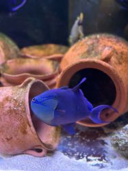 -Zoolung Zoolung动物主题公园(海信广场店)