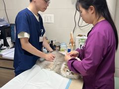 -爱侣·安琦尔宠物医院·中兽医针灸·心内科·狂犬免疫点(宝山区院)