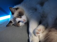 -零纪元VR体验馆·桌游(黄浦店)