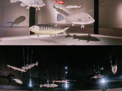 -澳大利亚国家海事博物馆