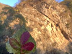 -百里山水画廊