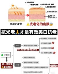 点击看大图 -玛莲朵·海菲秀冰珀科