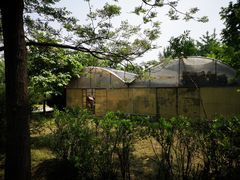 -西部兰花园生态园