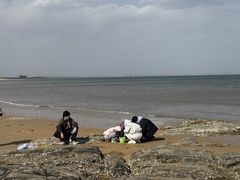 -山东八大碗山东老字号