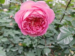 -人民公园(罗湖区)