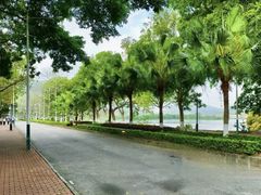 -风云岭森林公园