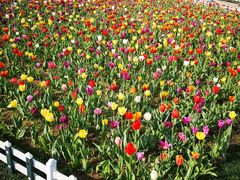 -长春公园(普阳街道)