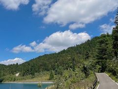 -武陵山森林公园