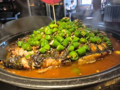 -辣尚瘾·烤鱼·新川菜(交大直营店)