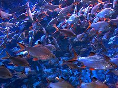 -成都浩海立方海洋公园