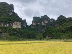 -明仕田园