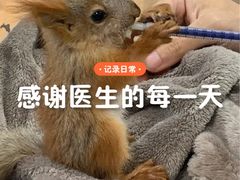 -立德异宠动物医院.兔鸟爬.内窥镜(天河店)