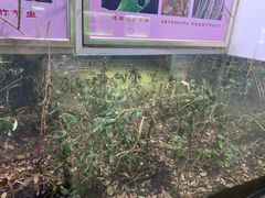 -上海昆虫博物馆