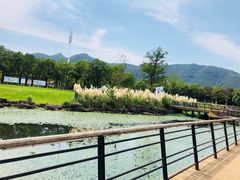 -东钱湖水上乐园(南门)